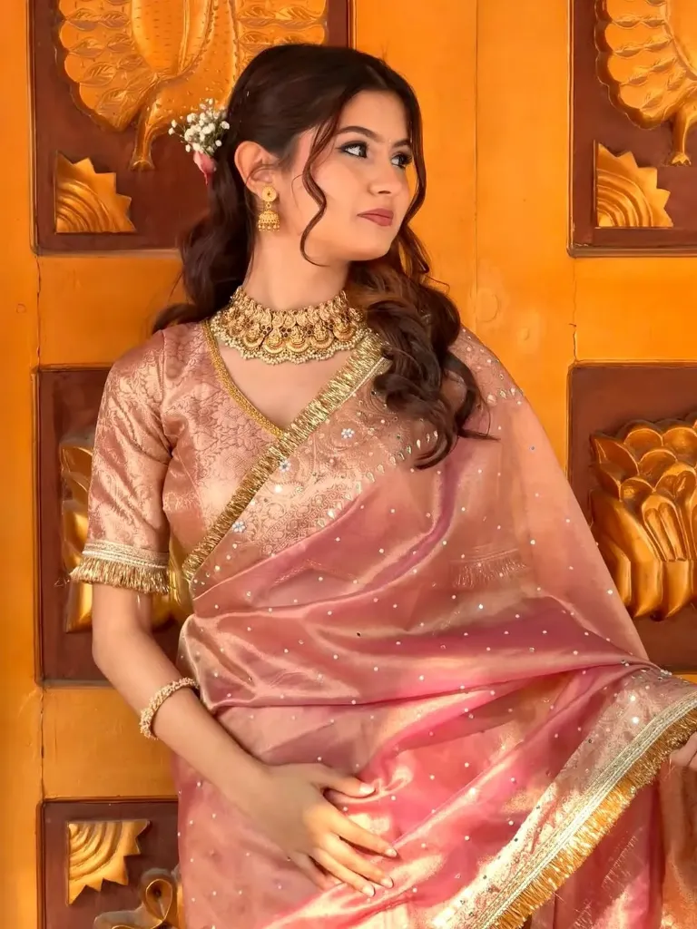 Banarasi Soft Glass Tissue Silk Saree