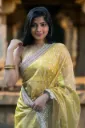 Lime Yellow Tissue Silk Saree